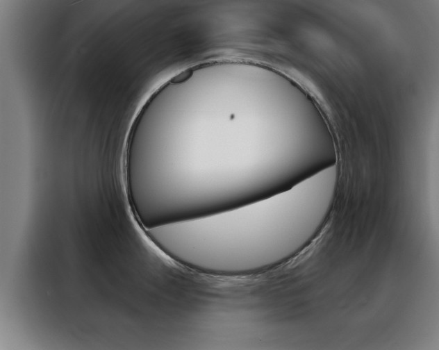 X0000088491247200705221015