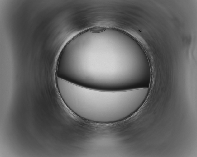X0000088491248200705221015