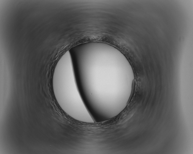 X0000088491249200705221015
