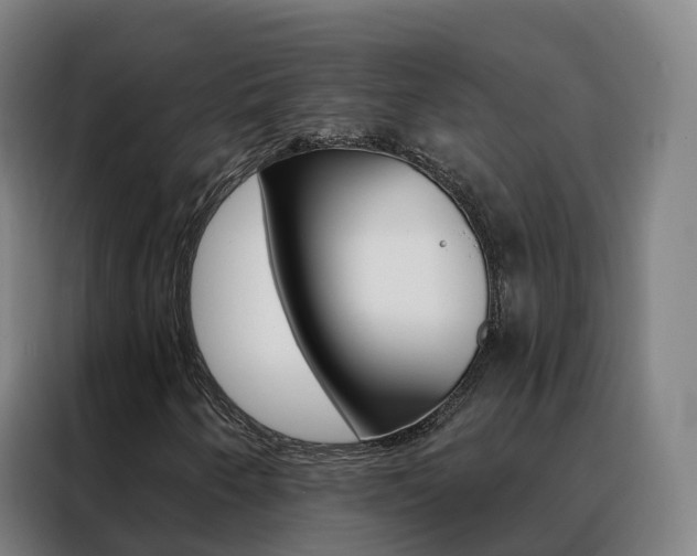 X0000088491250200705221015
