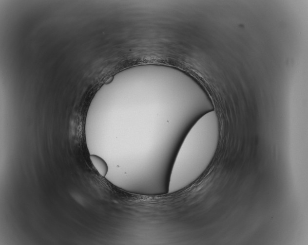 X0000088491251200705221015