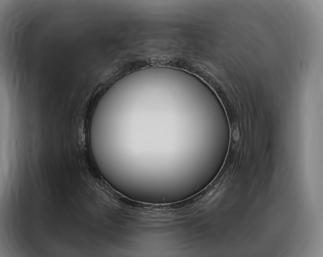 X0000088491252200705221015