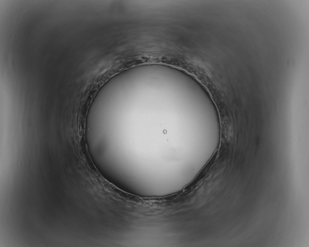 X0000088491253200705221015