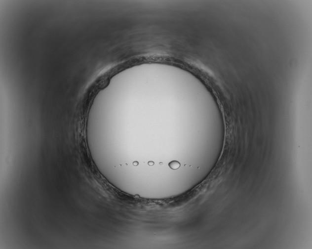 X0000088491255200705221015