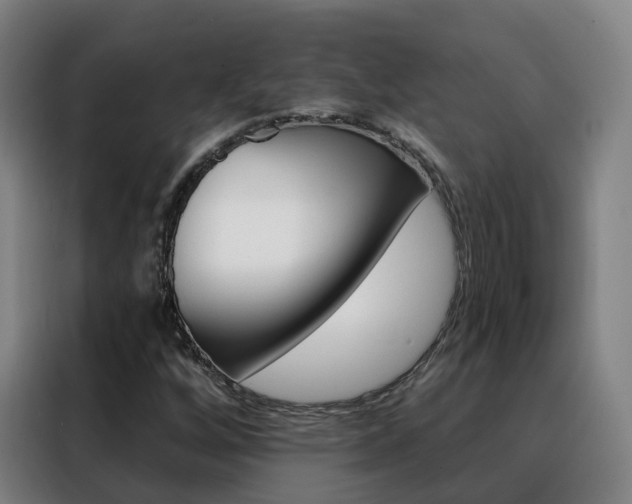 X0000088491256200705221015