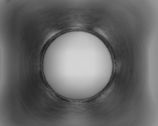 X0000088491259200705221015