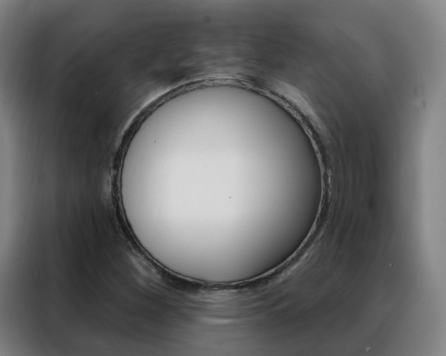 X0000088491260200705221015