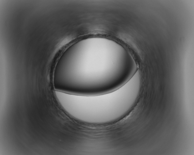 X0000088491261200705221015