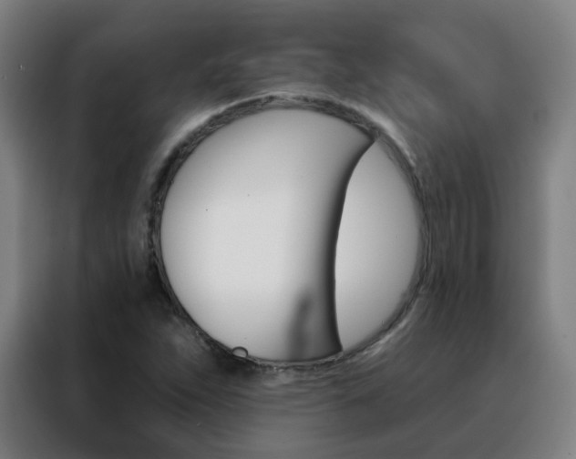 X0000088491263200705221015