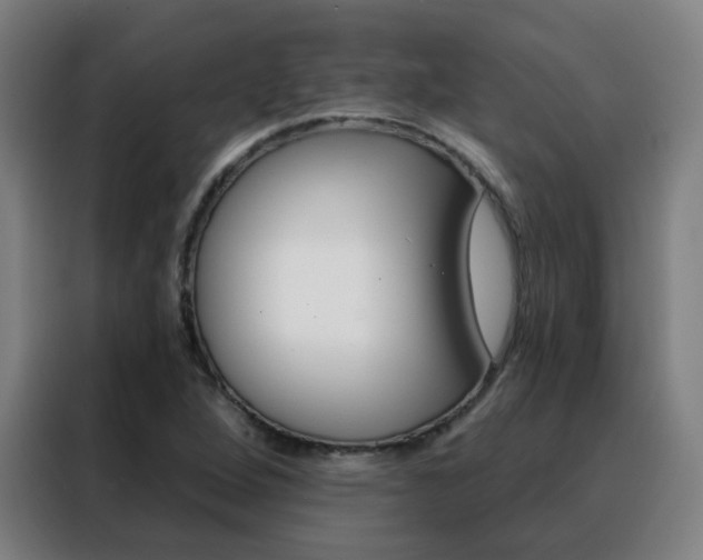 X0000088491264200705221015