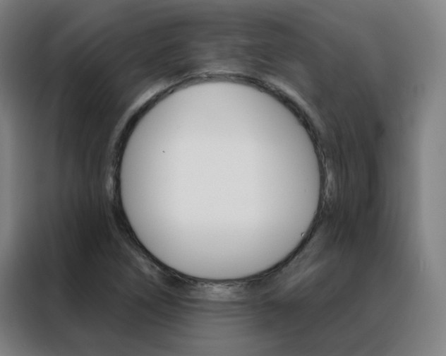 X0000088491266200705221015