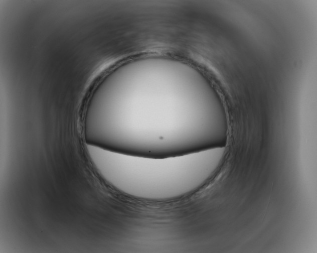 X0000088491267200705221015