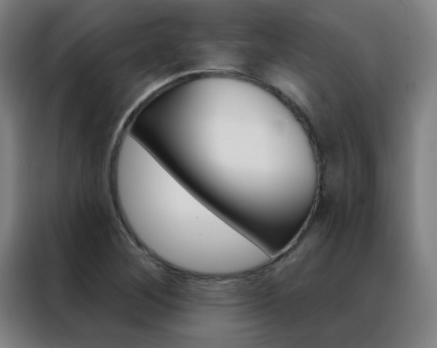 X0000088491268200705221014