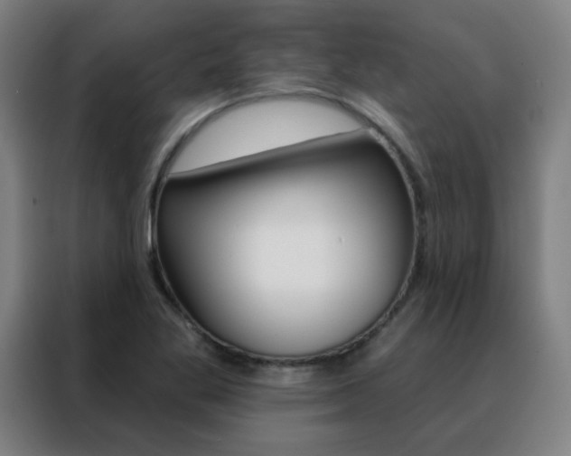 X0000088491269200705221014