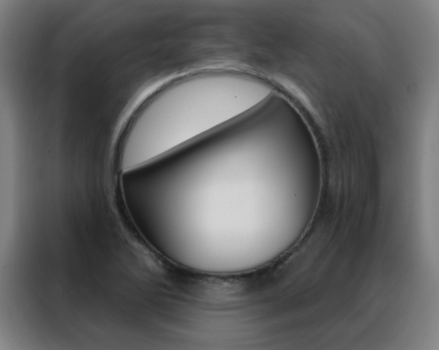 X0000088491270200705221014
