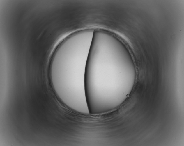 X0000088491271200705221014