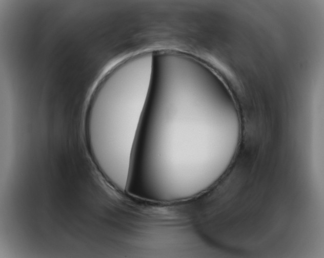 X0000088491272200705221014