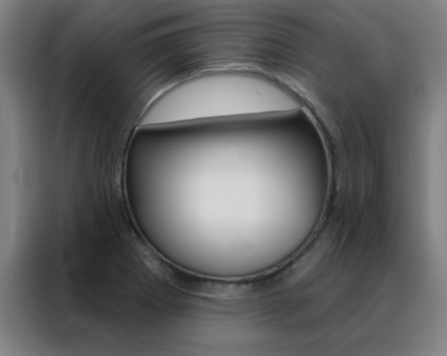X0000088491273200705221014
