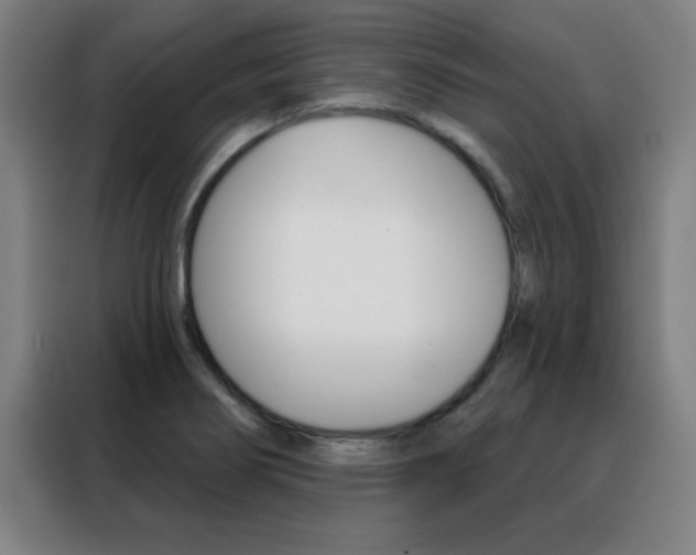 X0000088491274200705221014