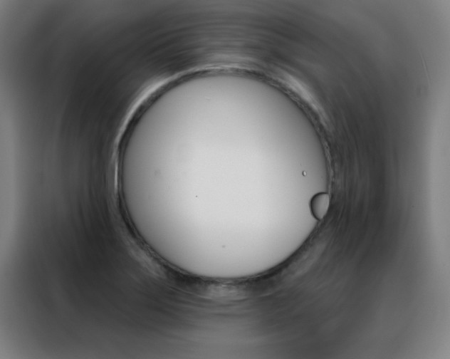 X0000088491275200705221014