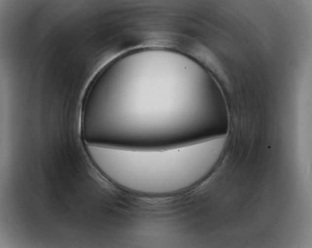 X0000088491276200705221014