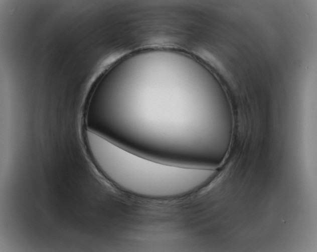 X0000088491277200705221014