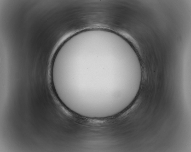 X0000088491278200705221014