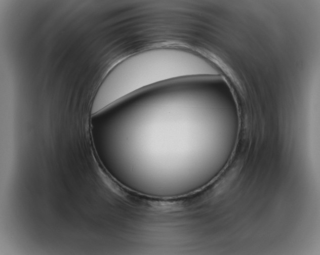 X0000088491281200705221014