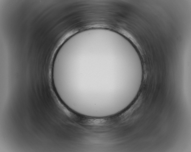 X0000088491282200705221014