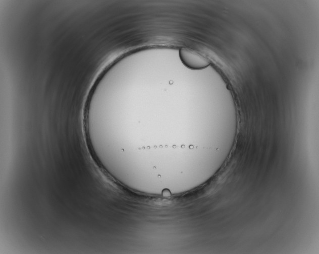 X0000088491283200705221014
