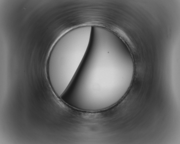 X0000088491284200705221014