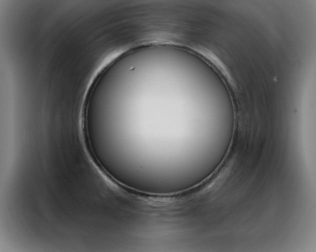 X0000088491285200705221014