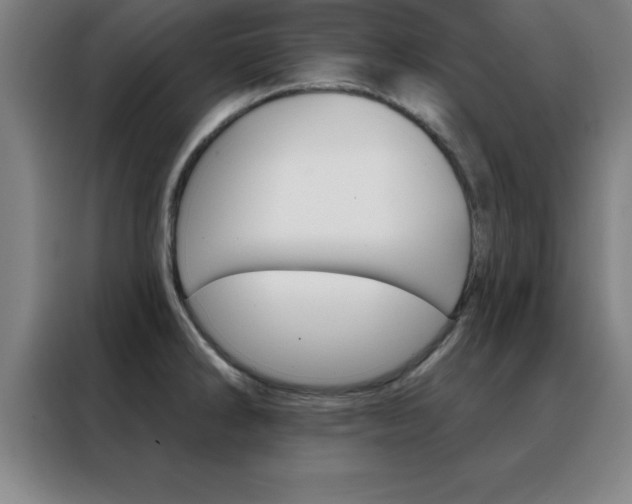 X0000088491286200705221014