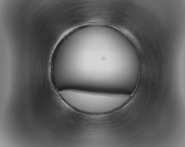 X0000088491288200705221014