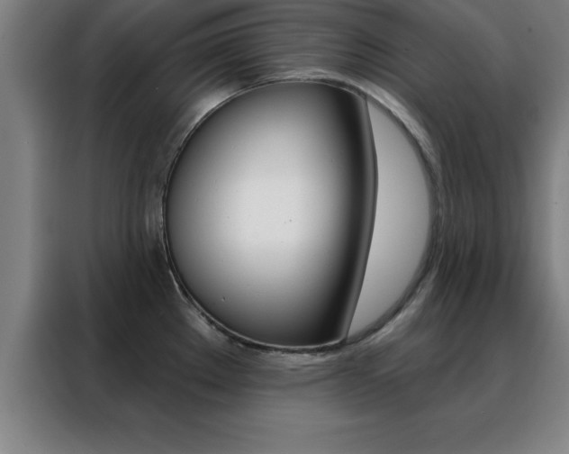 X0000088491289200705221014