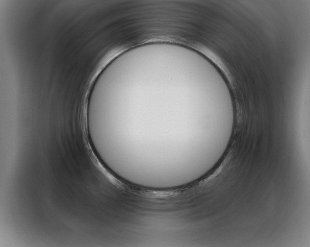 X0000088491290200705221014