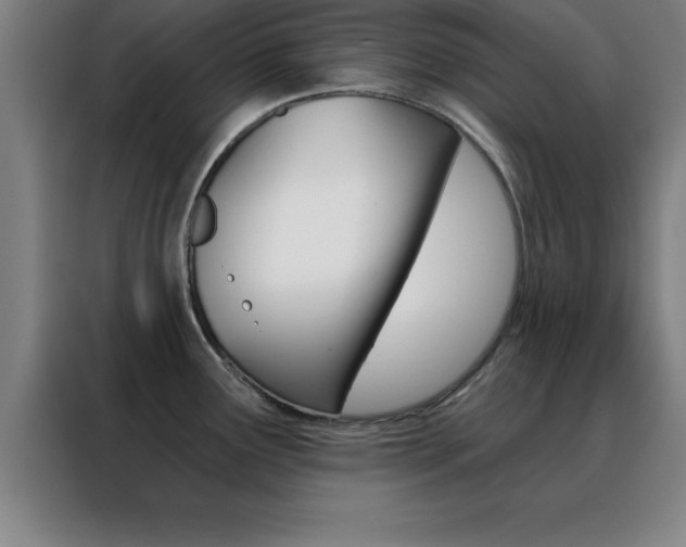 X0000088491291200705221014