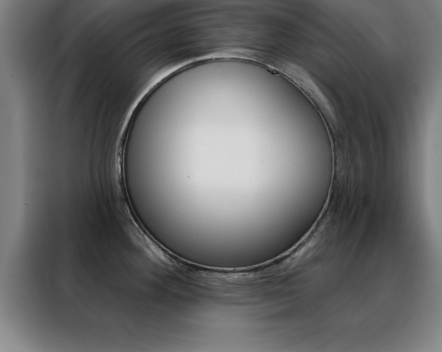 X0000088491292200705221014