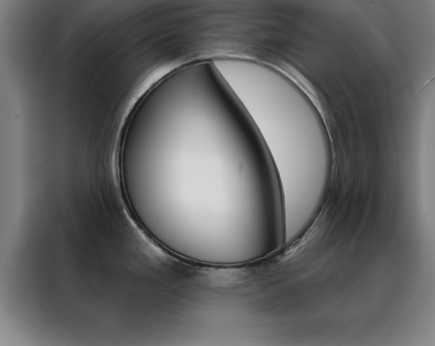 X0000088491293200705221014