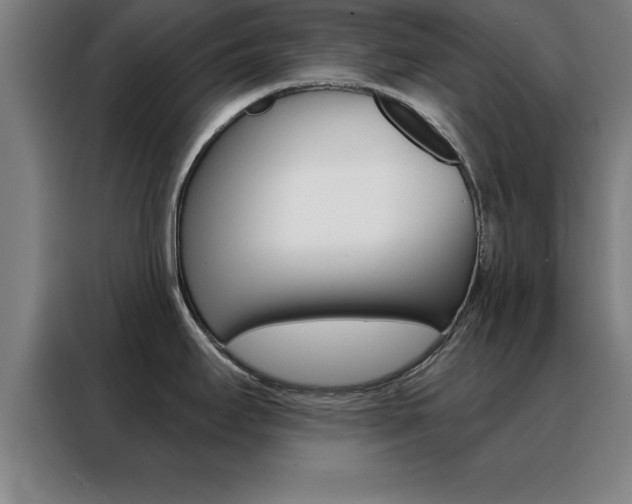 X0000088491295200705221014