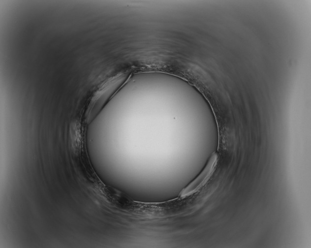 X0000088491298200705221014