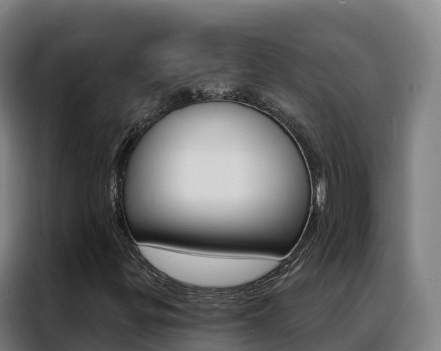 X0000088491299200705221014