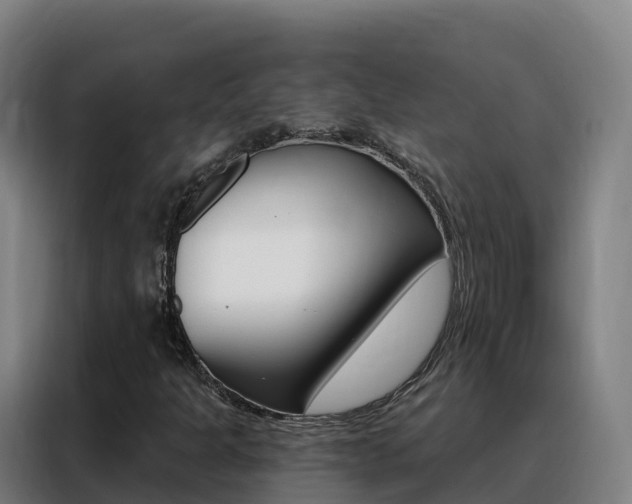 X0000088491301200705221014