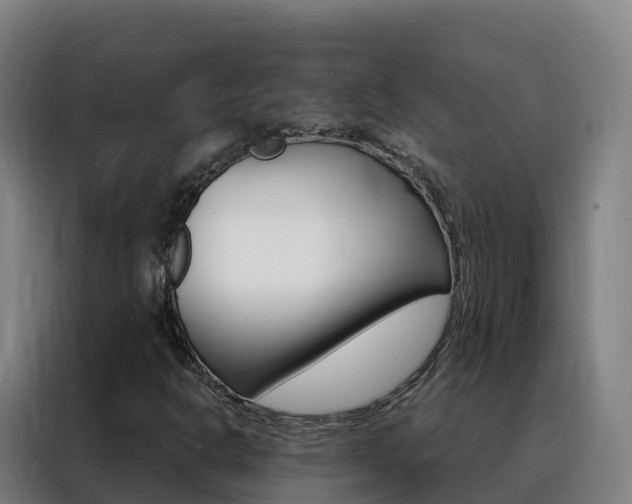 X0000088491302200705221014