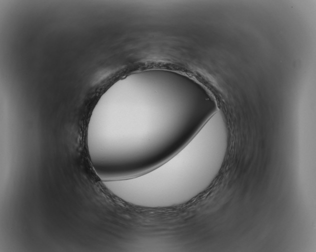 X0000088491303200705221014