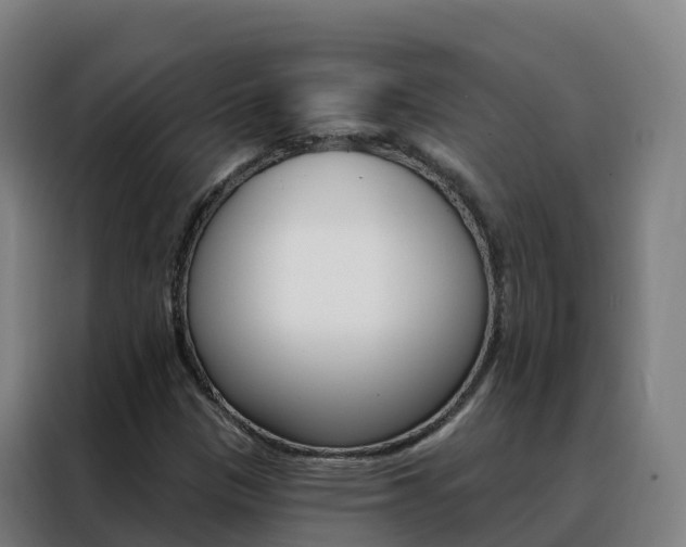 X0000088491305200705221014