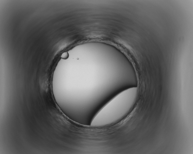 X0000088491306200705221014