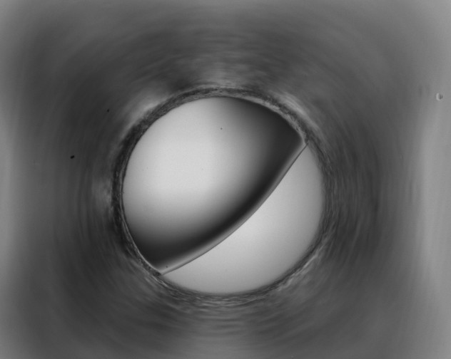 X0000088491307200705221014