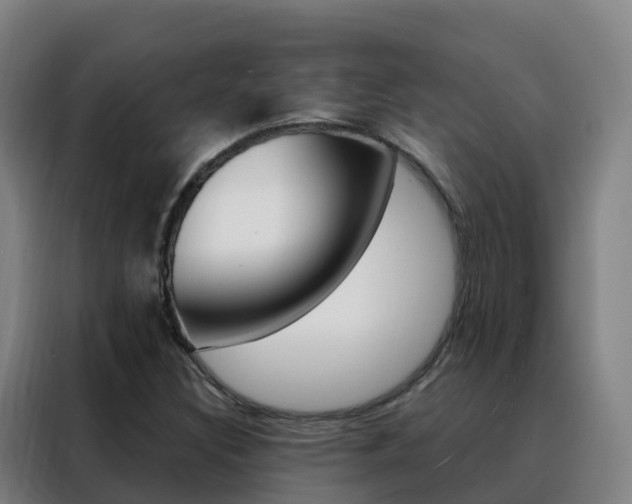 X0000088491308200705221014