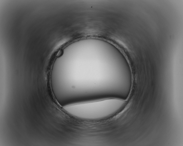 X0000088491309200705221014